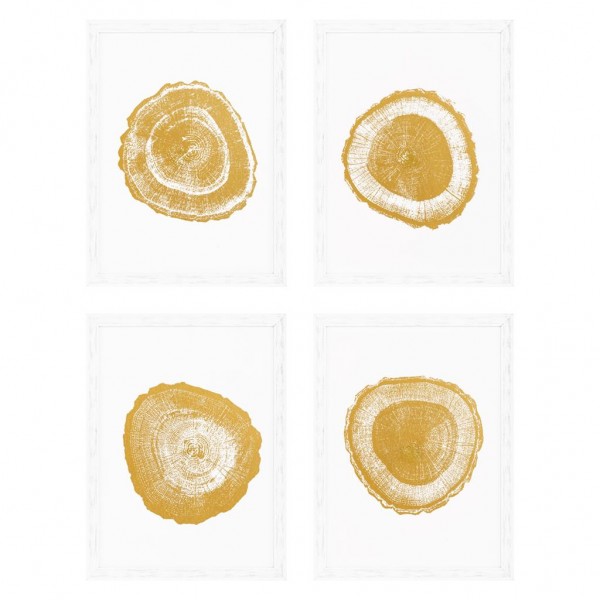 EICHHOLTZ Print Gold Foil - Tree Rings Set von 4 Stk.