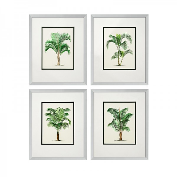 EICHHOLTZ Kunstdrucke Palms Set von 4 Stk.