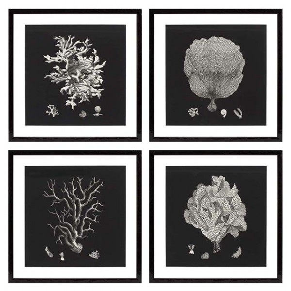 EICHHOLTZ gerahmte Kunstdrucke Black & Tan Corals Set von 4 Stk.